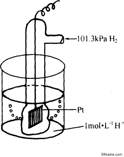 标准氢电极表示式