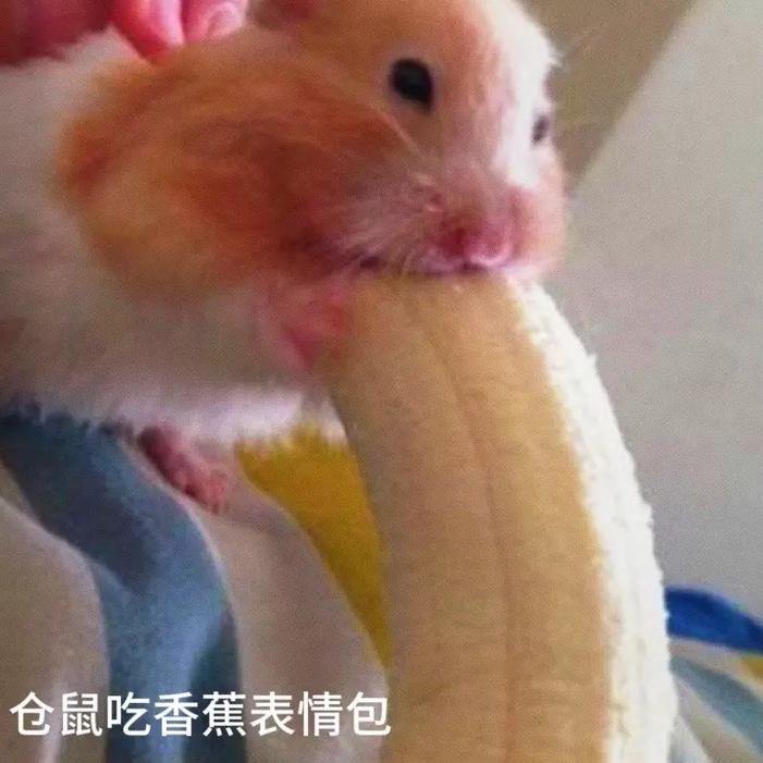 香蕉吃多了