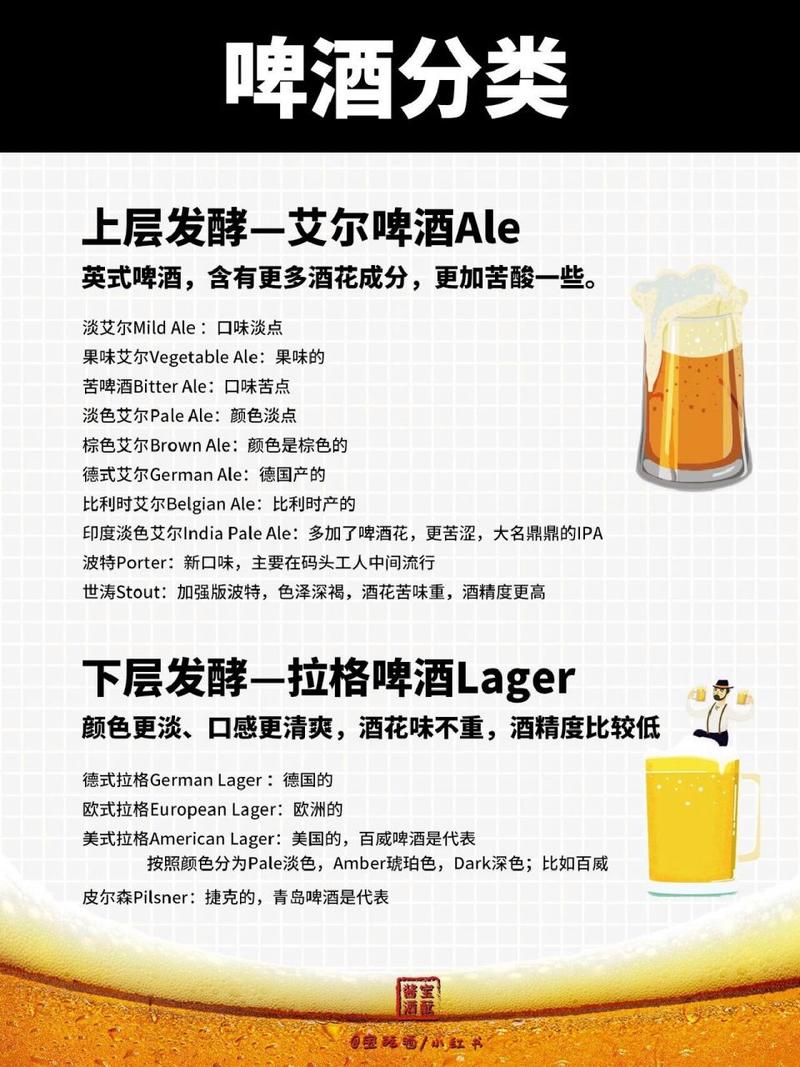 啤酒的种类的相关图片